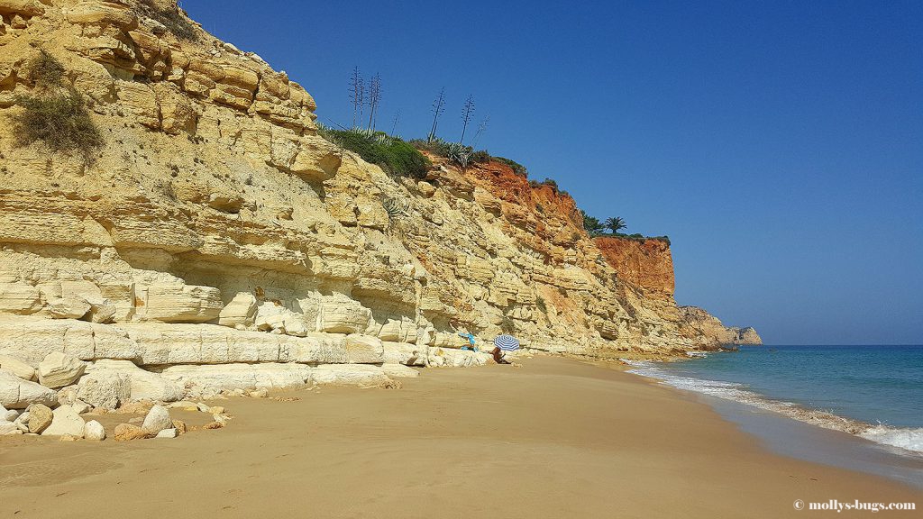 Praia_do_porto_de_mos