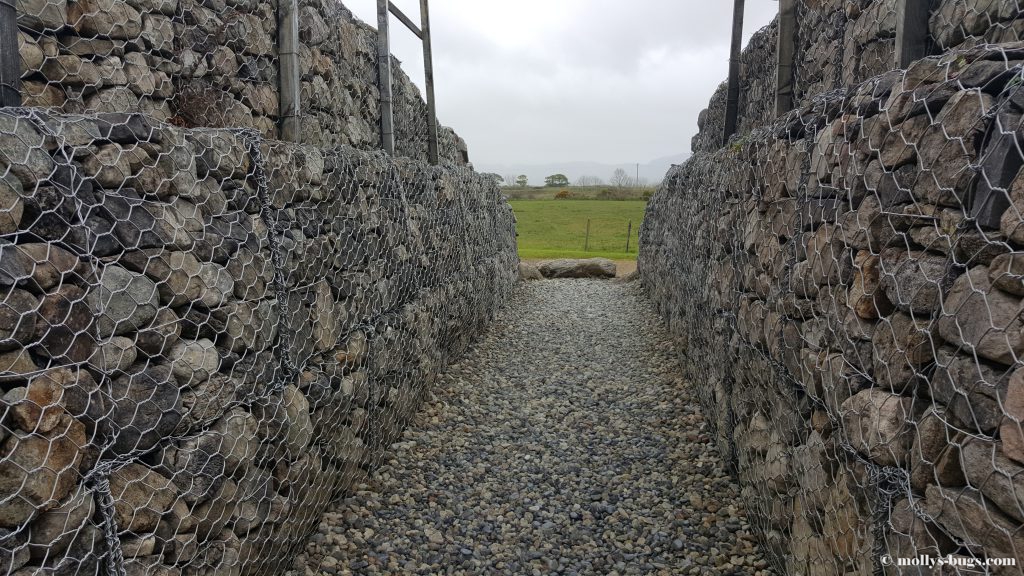 carrowmore-1