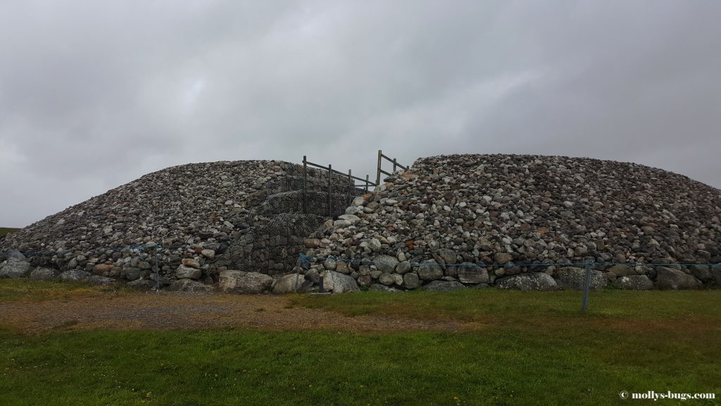 carrowmore-2