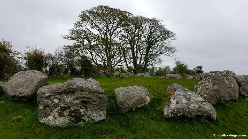 carrowmore-3