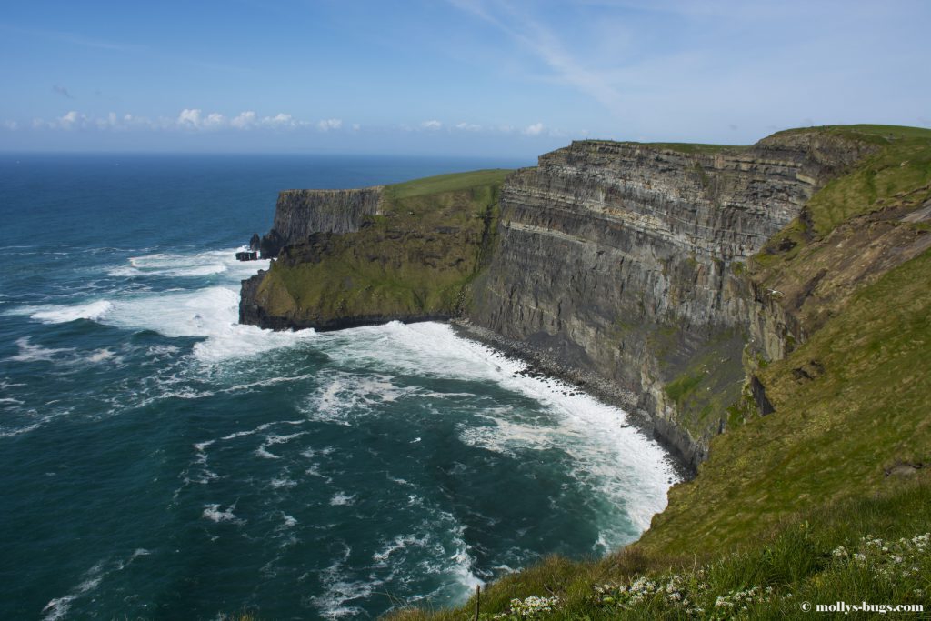 cliffs-of-moher-4