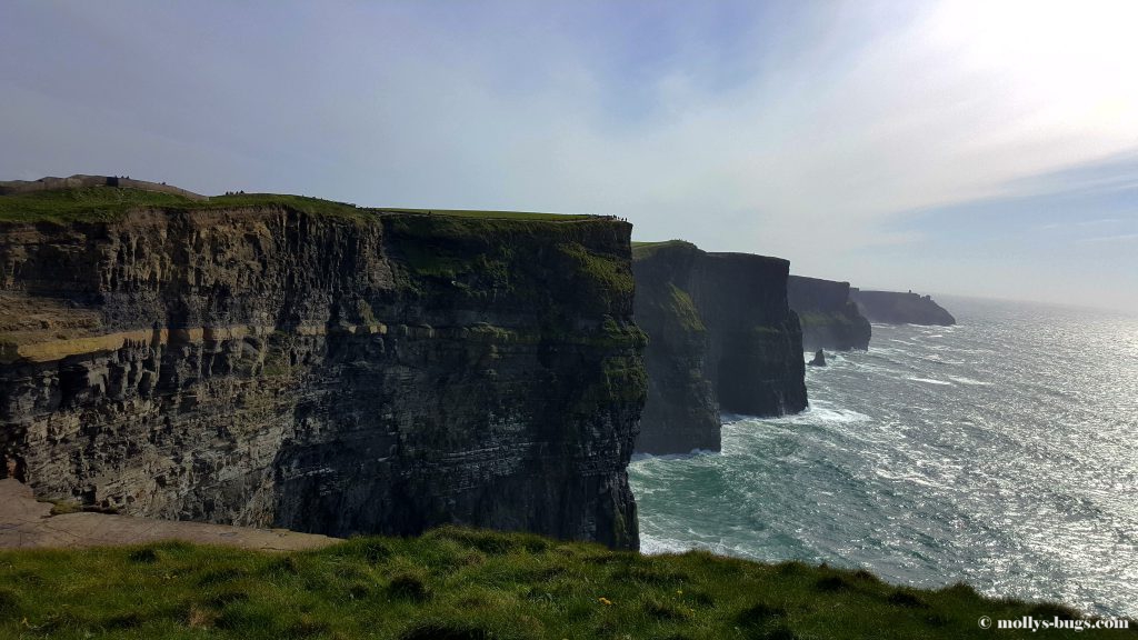 cliffs-of-moher-6