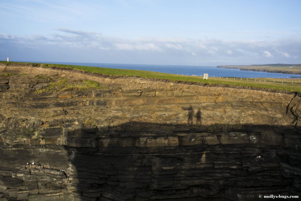 downpatrick-head-3