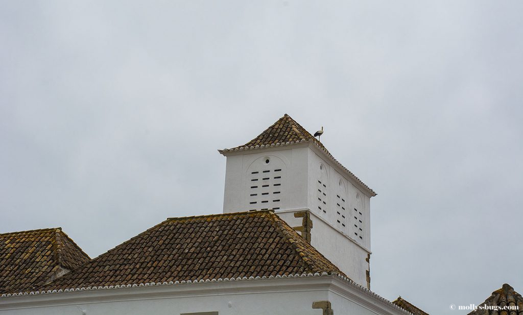 faro_portugal_14