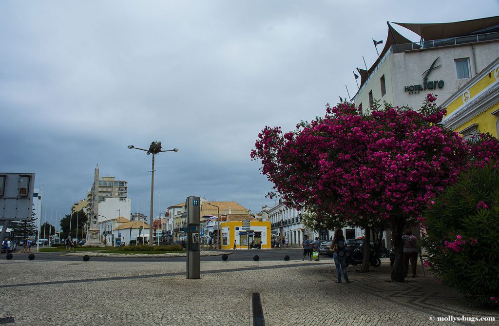 faro_portugal_16