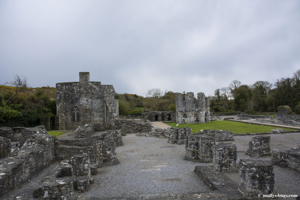 mellifont-abbey