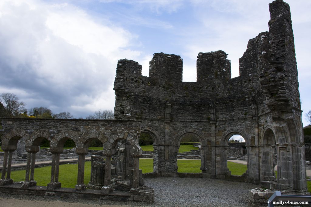 mellifont-abbey-2