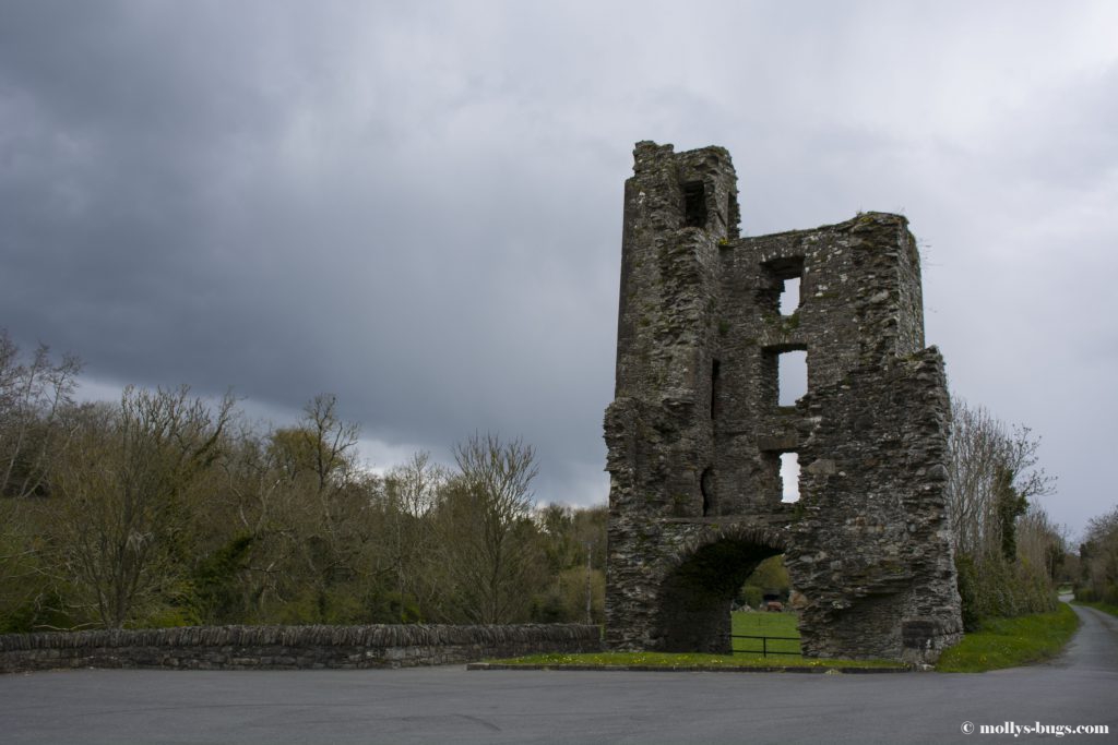 mellifont-abbey-3