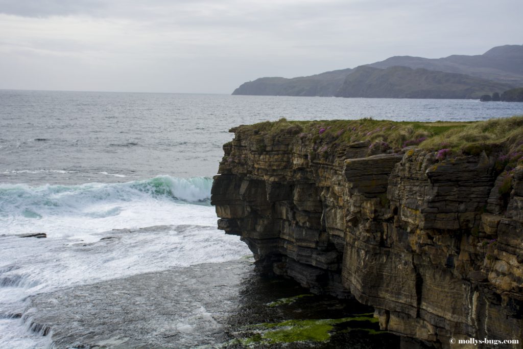 muckross-head-7