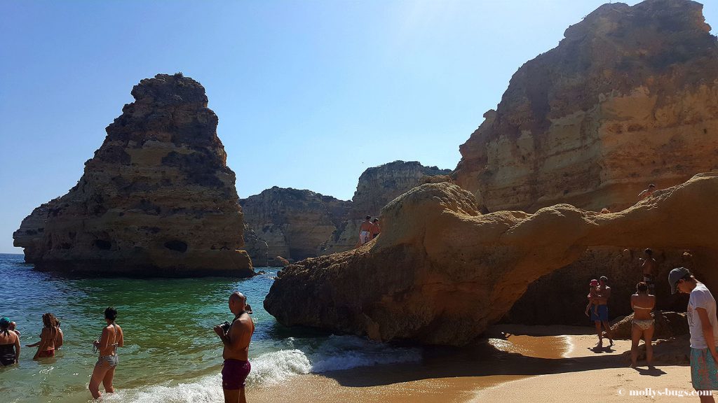 praia_da_marinha_5