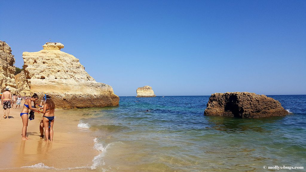 praia_da_marinha_6