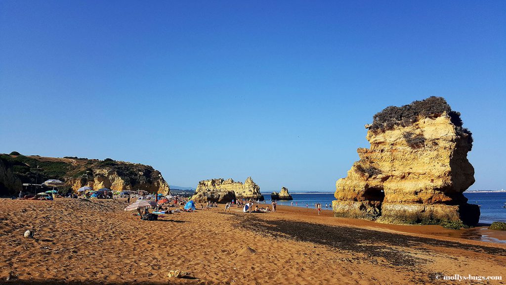 praia_dona_ana_4