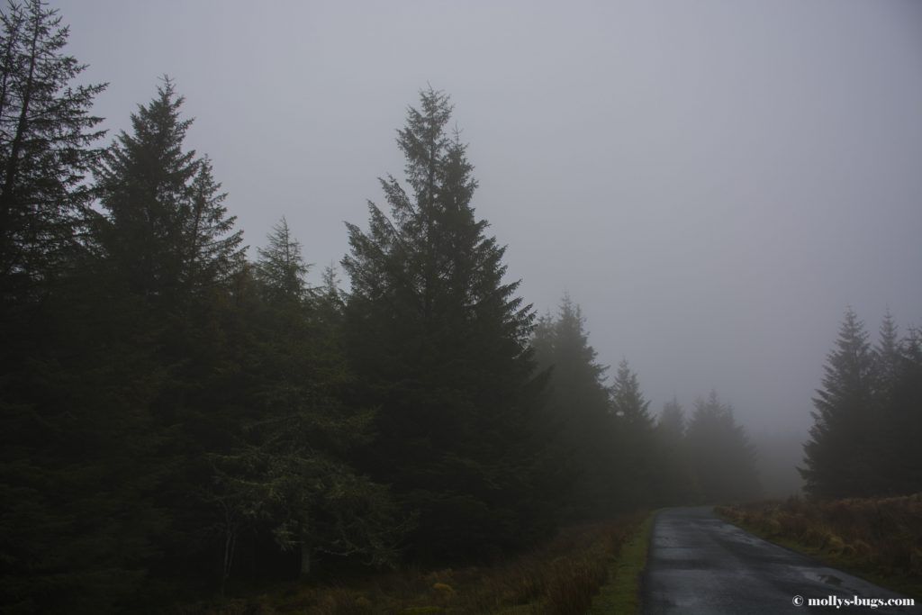 wicklow-mountains-1