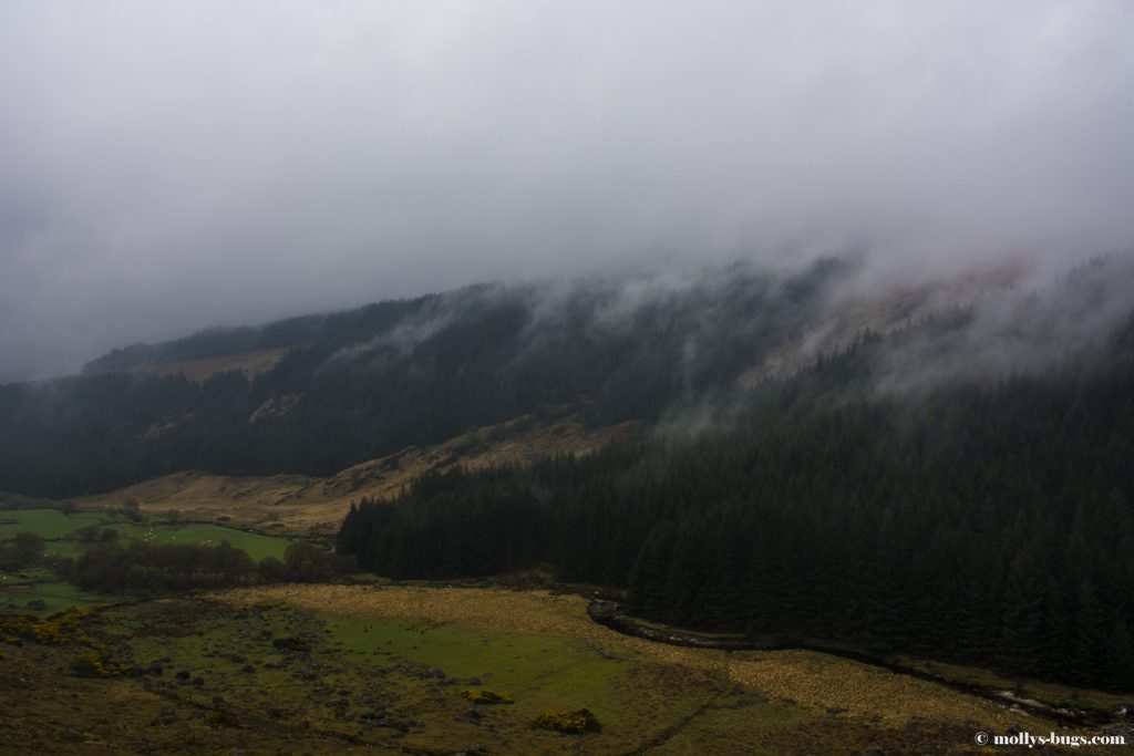 wicklow-mountains-3