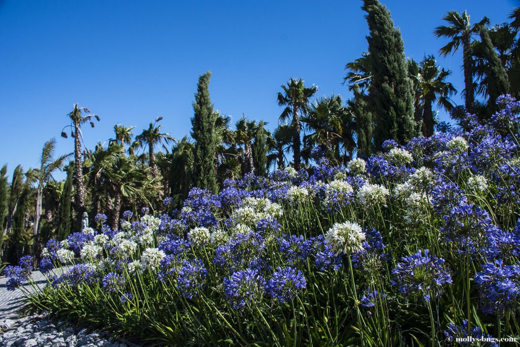 Buddha-Eden-Portugal-14