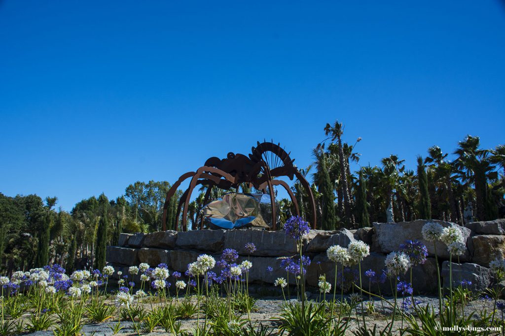 Buddha-Eden-Portugal-17