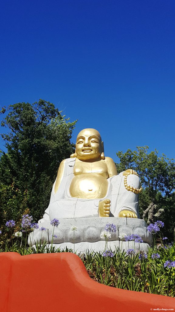 Buddha-Eden-Portugal-2