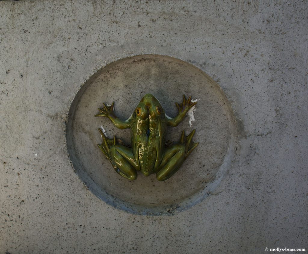 Buddha-Eden-Portugal-6