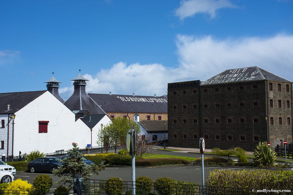 Bushmills_distilery_2