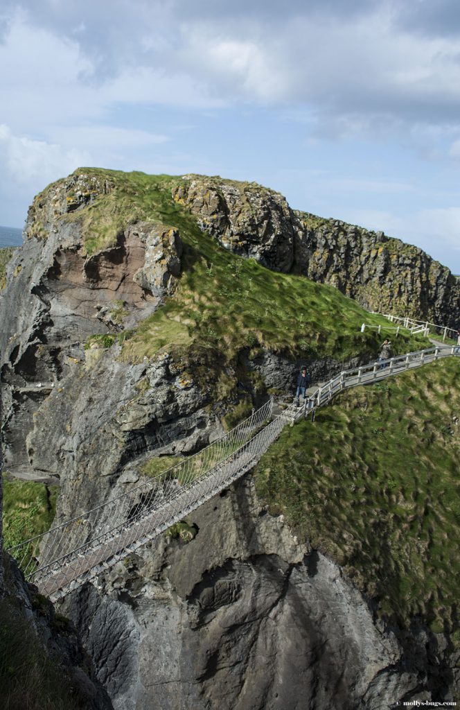 Carrick_a_rede_rope_bridge