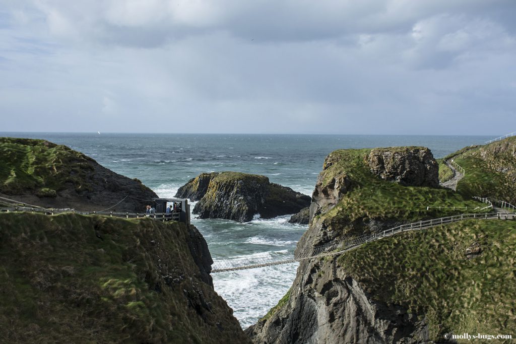 Carrick_a_rede_rope_bridge_1