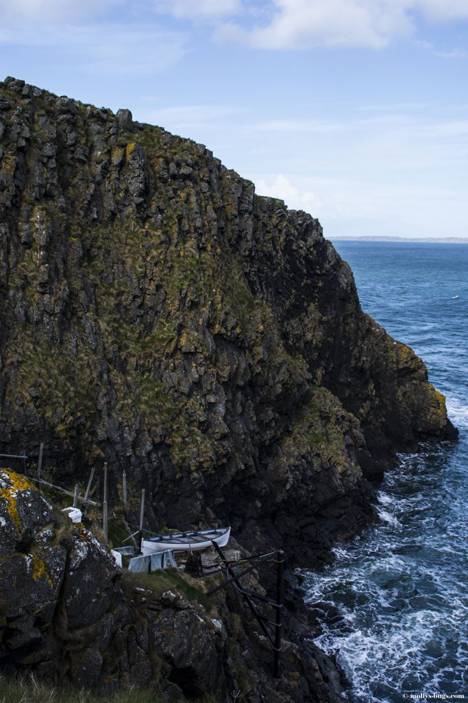 Carrick_a_rede_rope_bridge_2