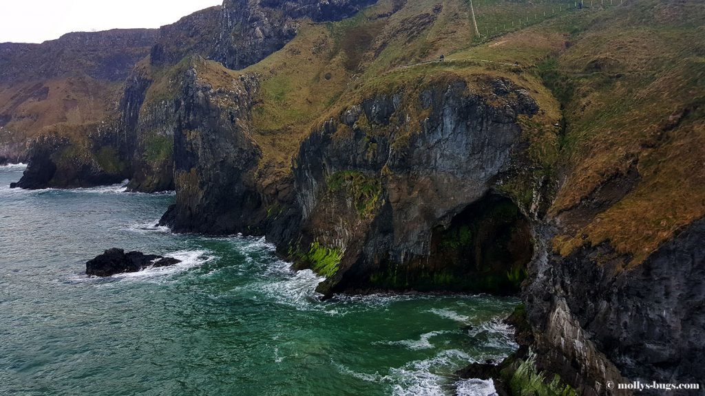 Carrick_a_rede_rope_bridge_4