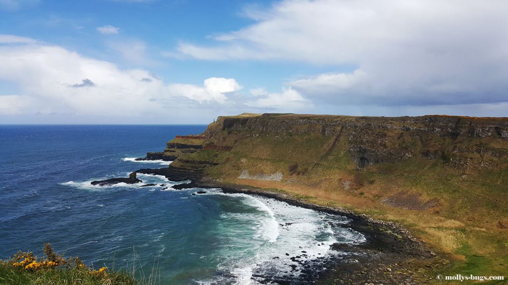 Giant's_causeway