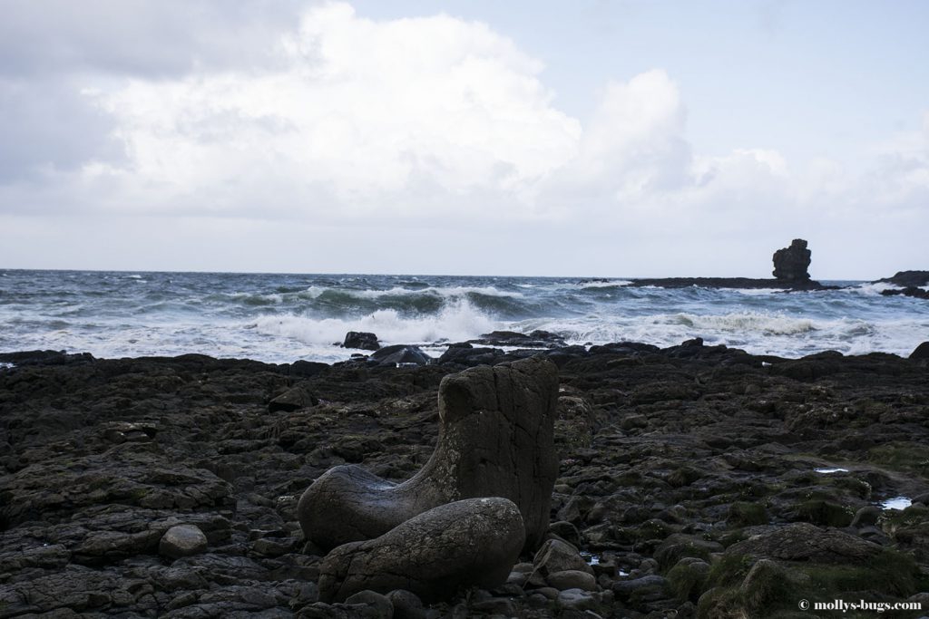 Giant's_causeway_10