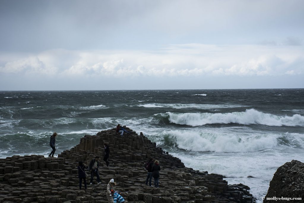 Giant's_causeway_11