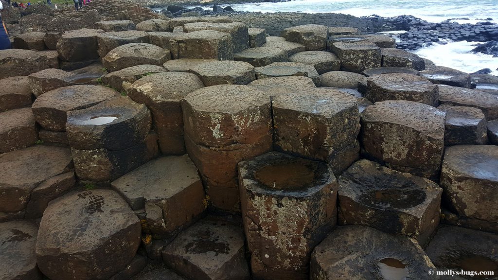 Giant's_causeway_13