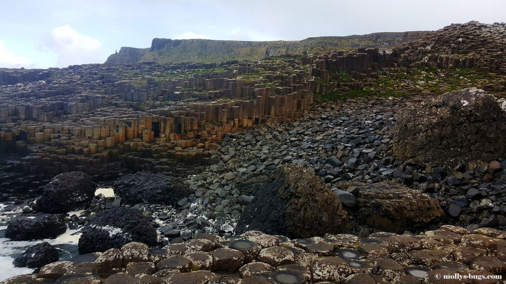 Giant's_causeway_15