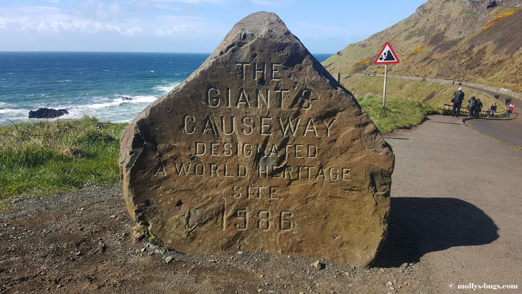 Giant's_causeway_2