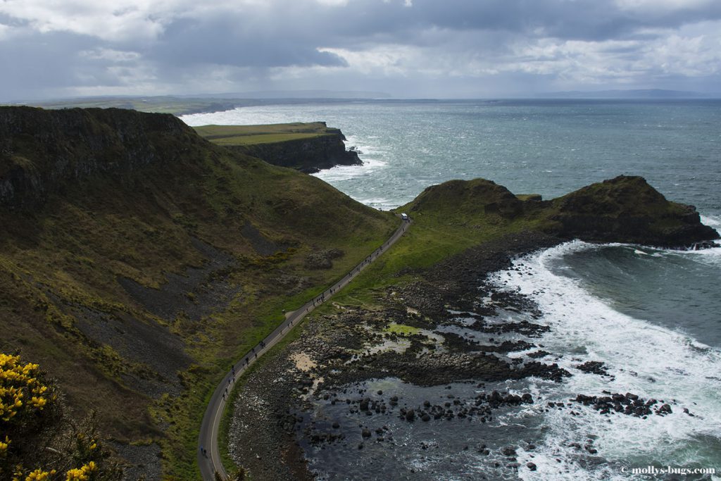 Giant's_causeway_3