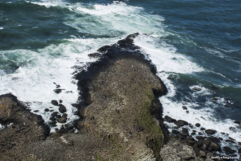 Giant's_causeway_4