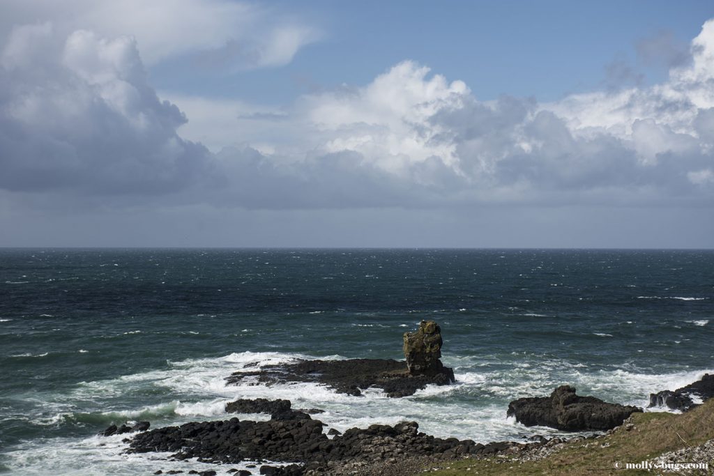 Giant's_causeway_8