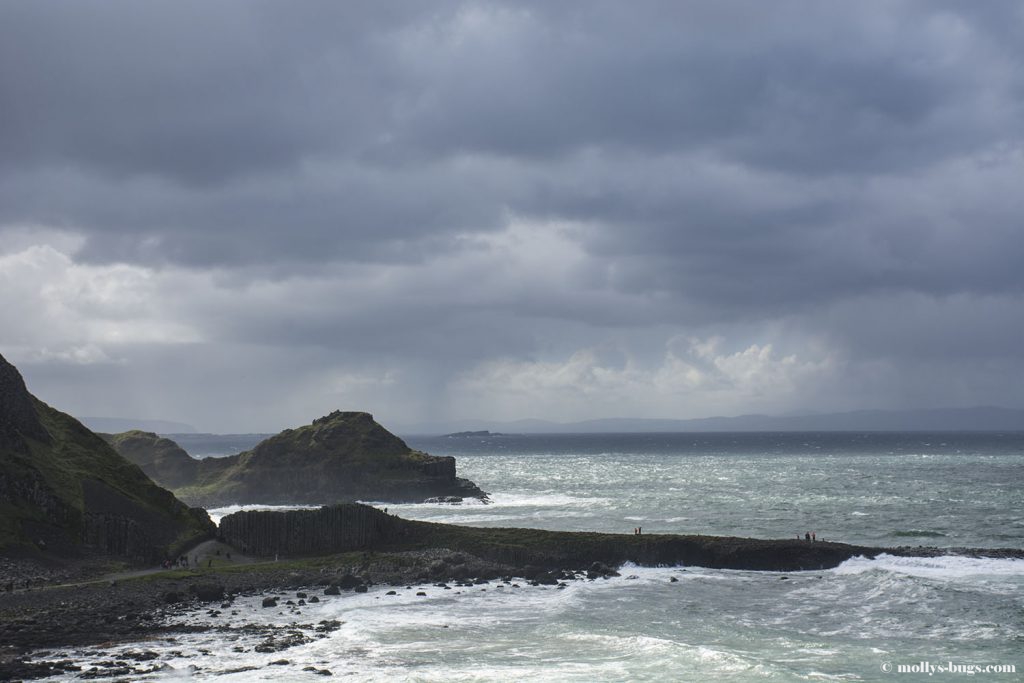 Giant's_causeway_9