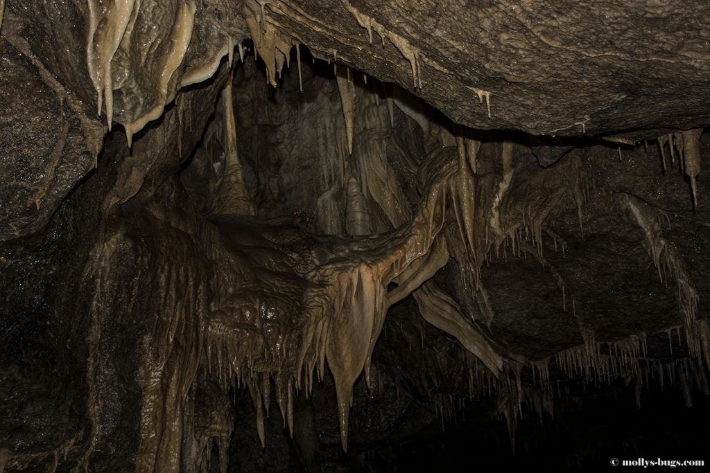 Marble_arch_caves_ireland_1