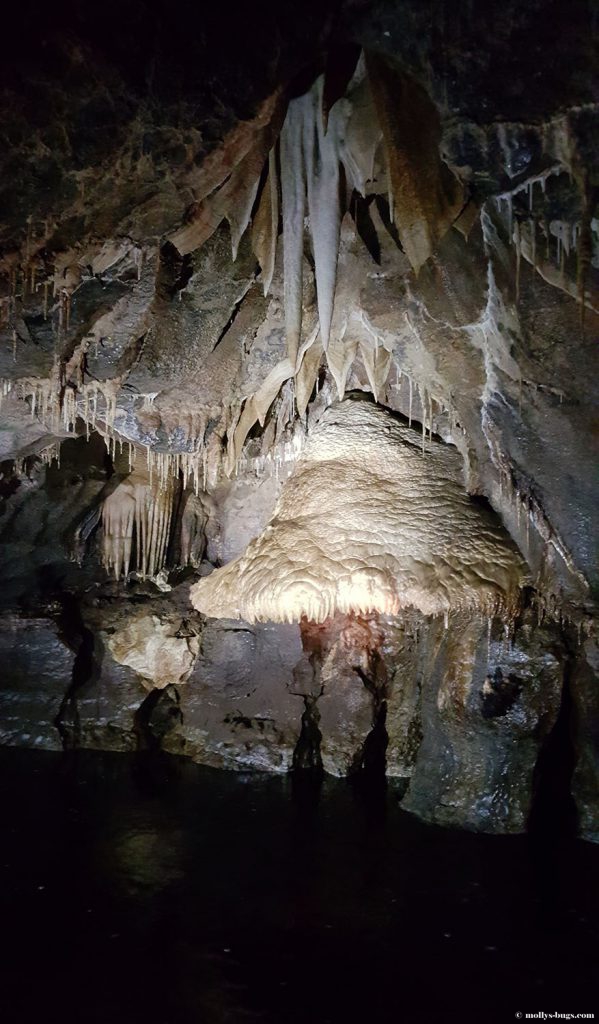 Marble_arch_caves_ireland_4