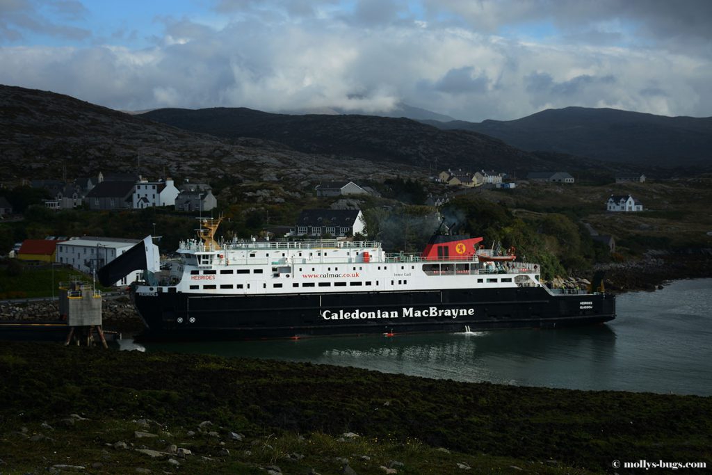 caledonian-mcbrian