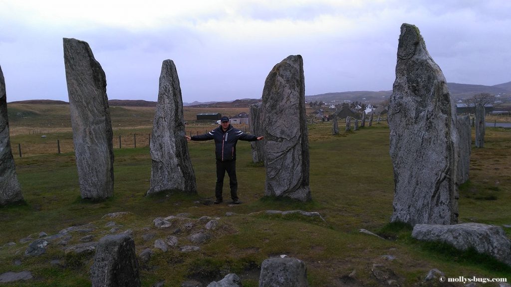 callanish1