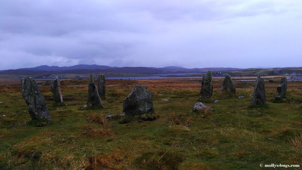 callanish2