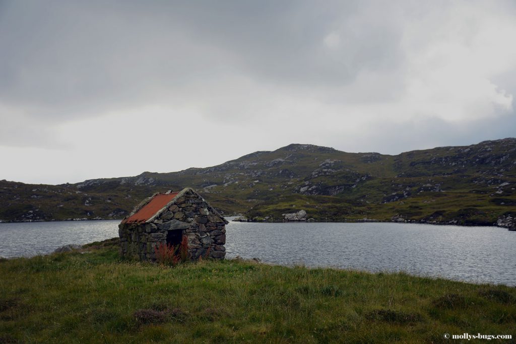 great-bernera