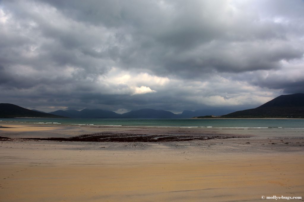 harris_beach1