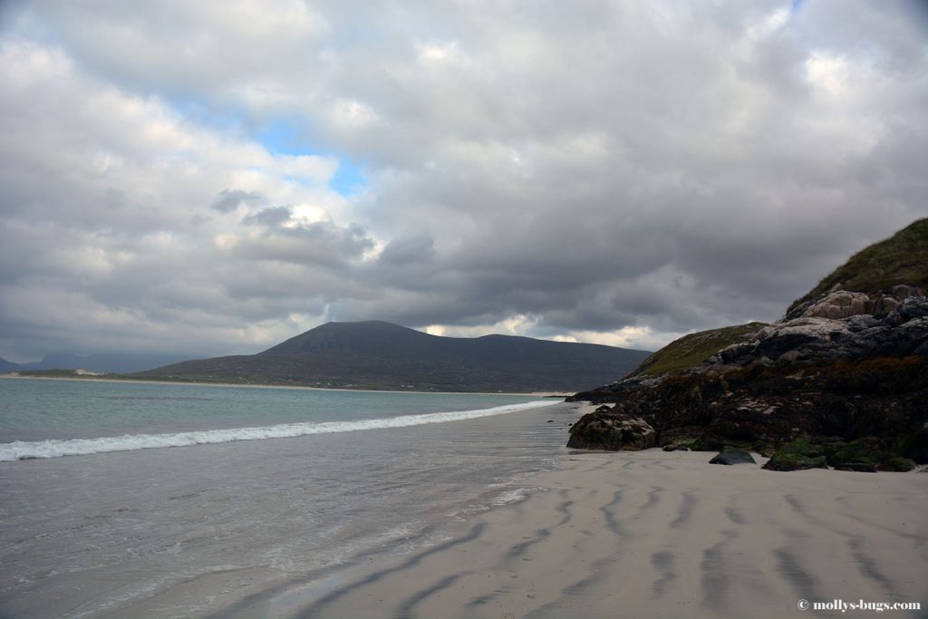 harris_beach4