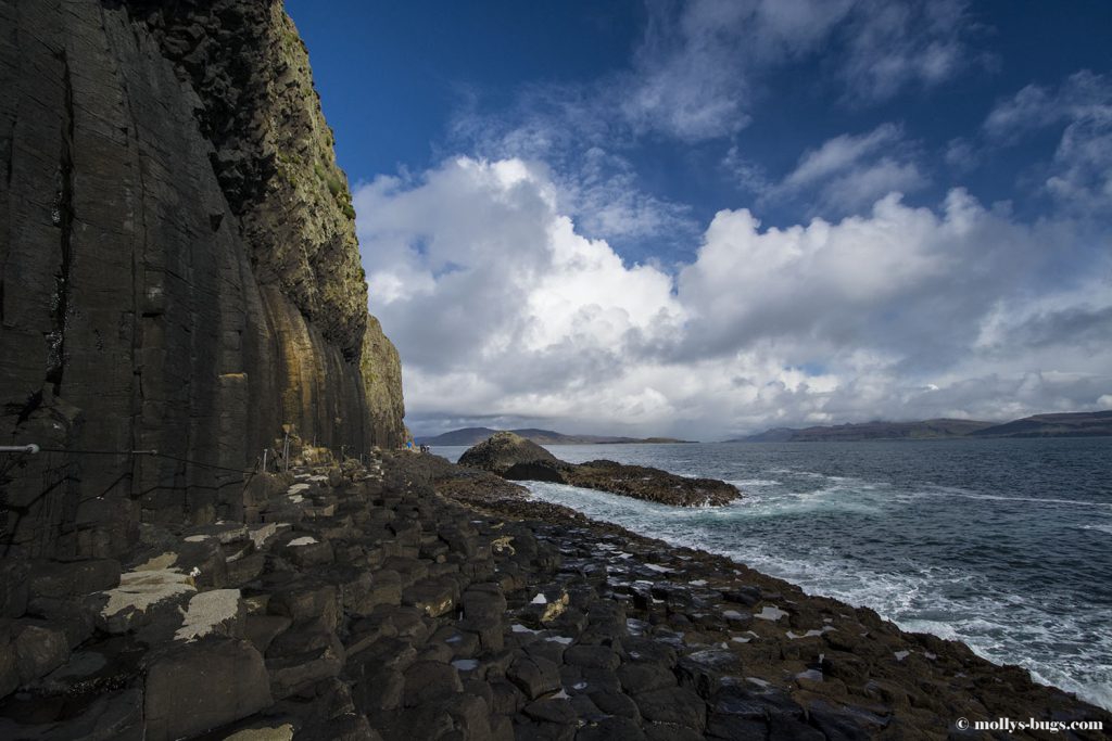 isle_of_staffa_12