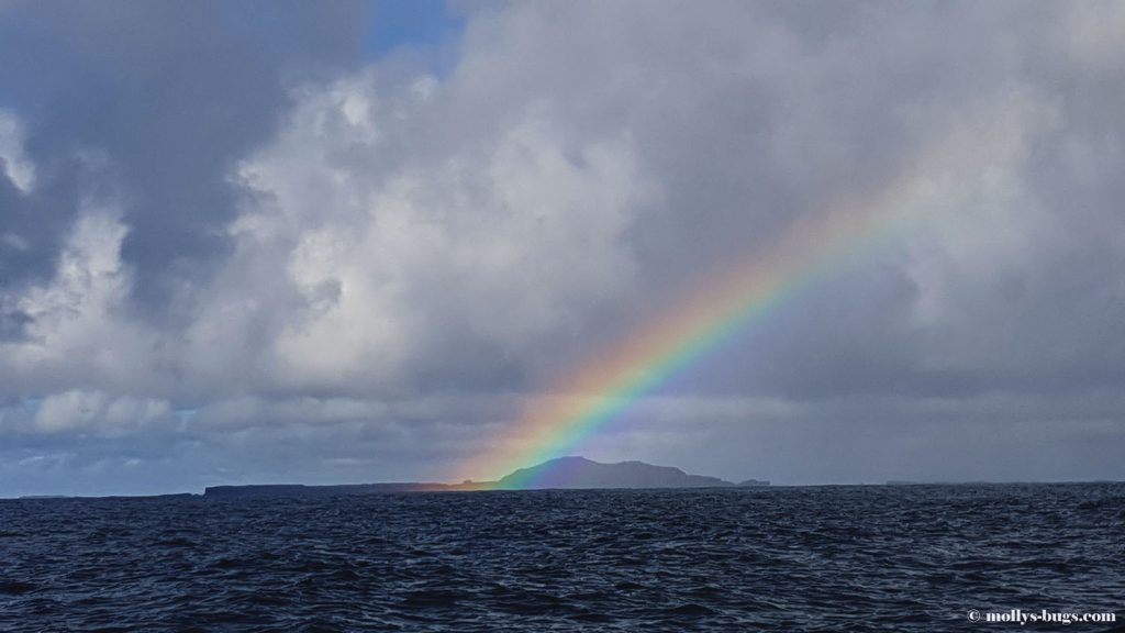 isle_of_staffa_18