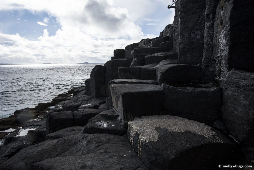 isle_of_staffa_9