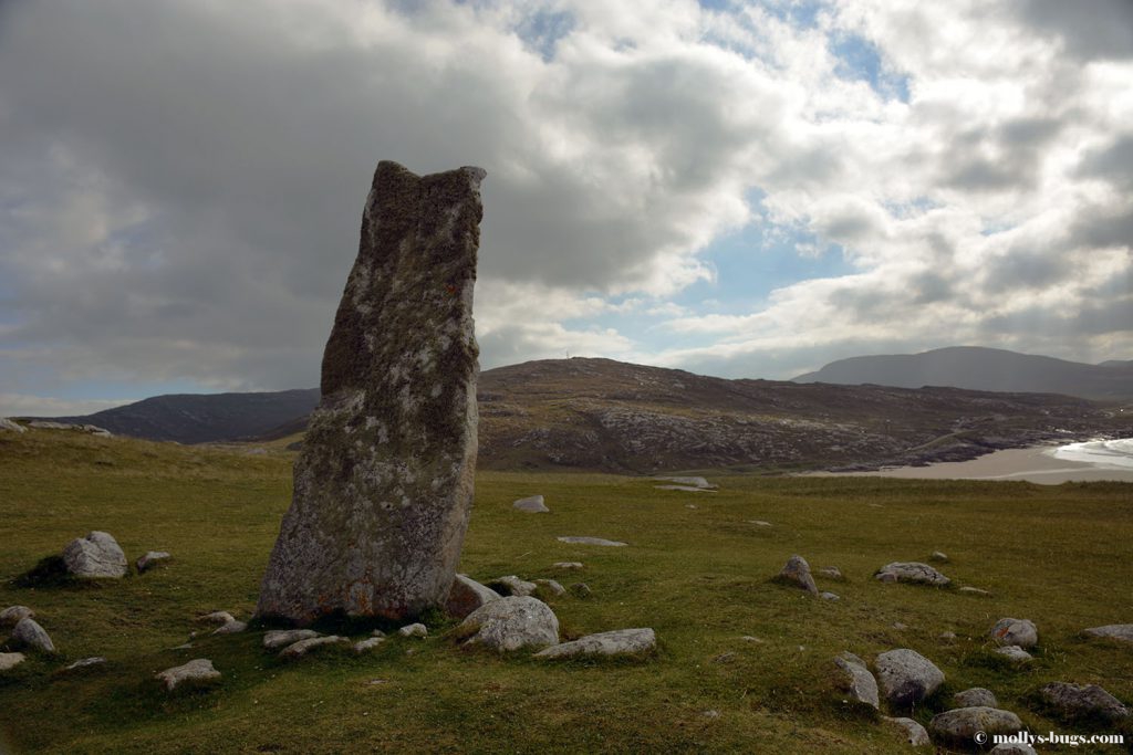 macleod-standing-stone1