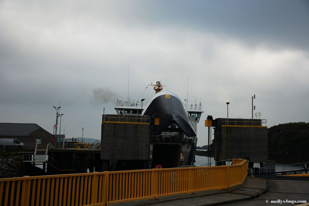 tarbert-ferry